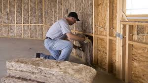 Professional Insulation Services in Litchfield Park, AZ